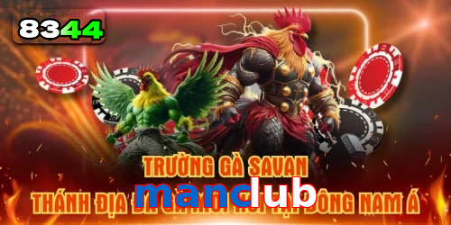 Mơ thấy cá chép – vận may trong học vấn và sự nghiệp